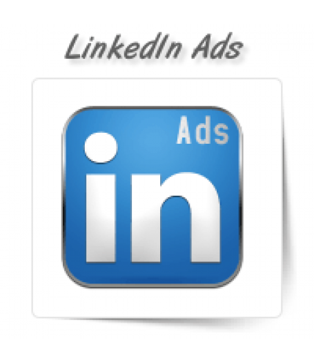 LinkedIn Ad Management